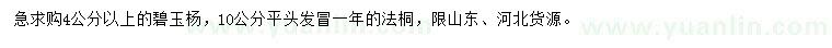 求購4公分以上碧玉楊、10公分法桐