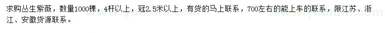 求購冠2.5米以上叢生紫薇