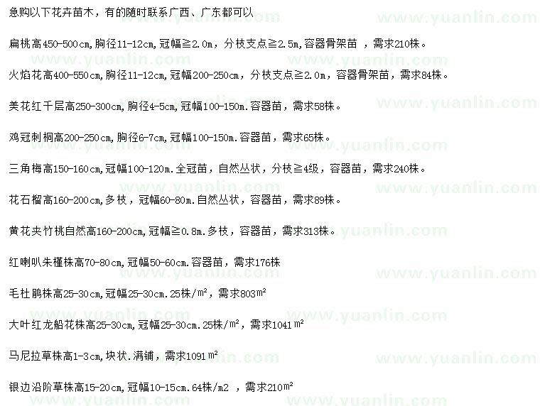 求購扁桃、火焰花、美花紅千層等