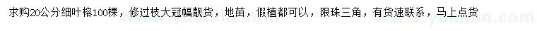 求購20公分細葉榕