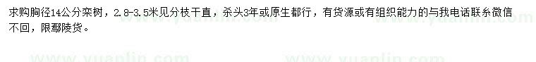 求購胸徑14公分欒樹