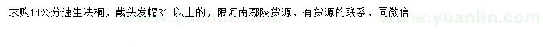 求購14公分速生法桐