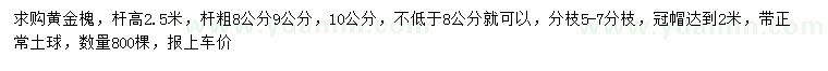 求購桿高2.5米黃金槐