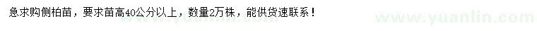 求購(gòu)高40公分以上側(cè)柏苗