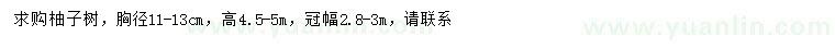 求購胸徑11-13公分柚子樹