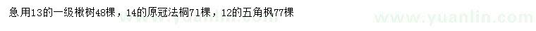 求購楸樹、法桐、五角楓