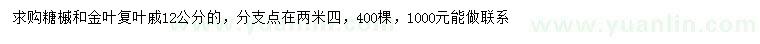 求購(gòu)12公分糖槭、金葉復(fù)葉戚
