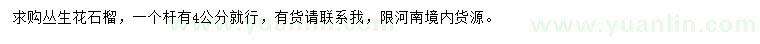 求購(gòu)叢生花石榴