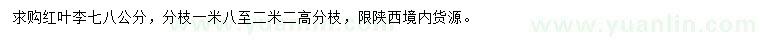 求購7、8公分紅葉李