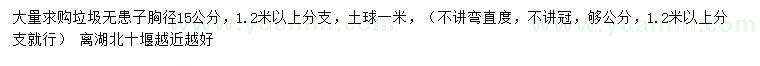 求購胸徑15公分無患子