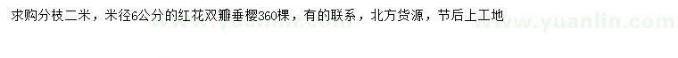 求購米徑6公分紅花雙瓣垂櫻