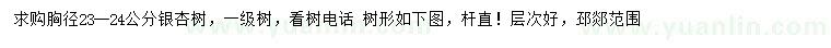 求購(gòu)胸徑23-24公分銀杏