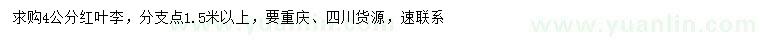 求購1.5米量4公分紅葉李