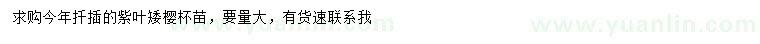 求購當年生紫葉矮櫻