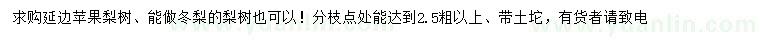 求購(gòu)延邊蘋果梨樹