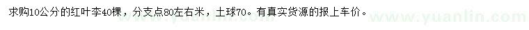 求購10公分紅葉李