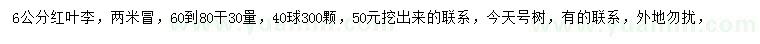 求購6公分紅葉李