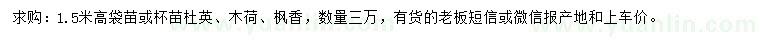 求購杜英、木荷、楓香