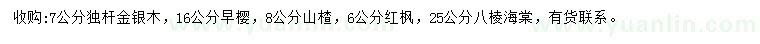 求購金銀木、早櫻、山楂等