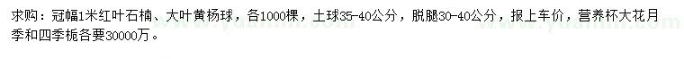 求購紅葉石楠、大葉黃楊球、大花月季等
