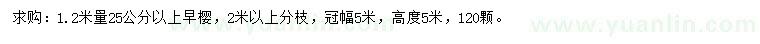求購(gòu)1.2米量25公分以上早櫻