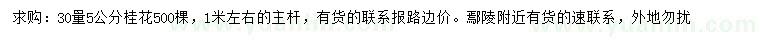 求購30量5公分桂花