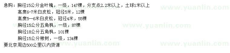 求購金葉槐、白皮松、五角楓等