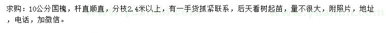求購10公分國槐