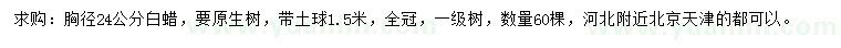 求購胸徑24公分白蠟