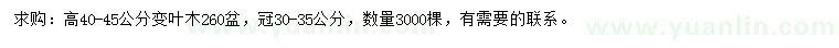 求購(gòu)高40-45公分變?nèi)~木