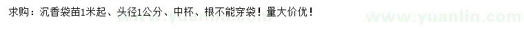 求購(gòu)1米起沉香
