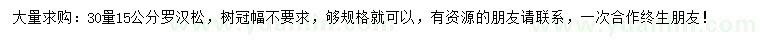 求購30量15公分羅漢松