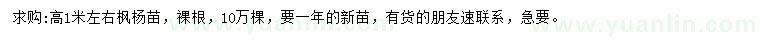 求購高1米左右楓楊苗