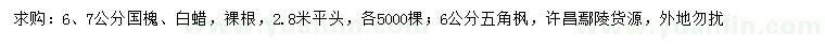 求購國槐、白蠟、五角楓