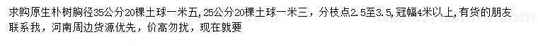 求購(gòu)胸徑25、35公分樸樹