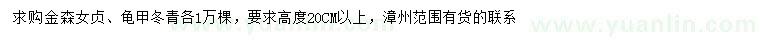 求購高20公分以上金森女貞、龜甲冬青