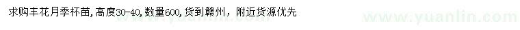 求購(gòu)高30-40公分豐花月季