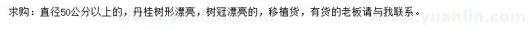 求購(gòu)直徑50公分以上丹桂