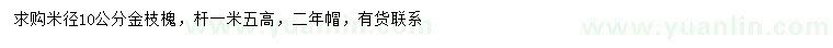 求購米徑10公分金枝槐