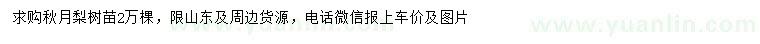 求購(gòu)秋月梨樹苗