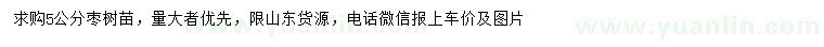 求購5公分棗樹苗