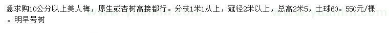 求購10公分以上美人梅