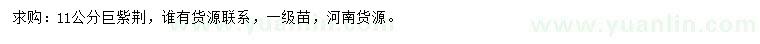 求購(gòu)11公分巨紫荊