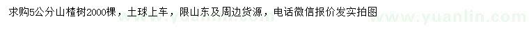 求購5公分山楂樹