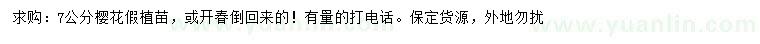求購7公分櫻花