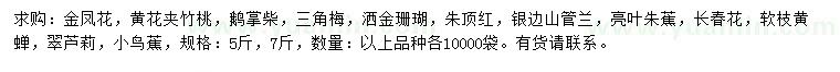 求購金鳳花、黃花夾竹桃、鵝掌柴等