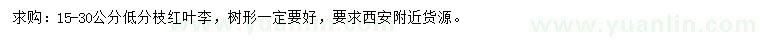 求購15-30公分紅葉李