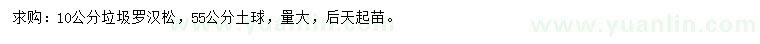 求購10公分羅漢松