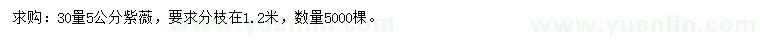 求購30量5公分紫薇