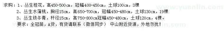 求購叢生桂花、叢生水蒲桃、叢生鐵冬青